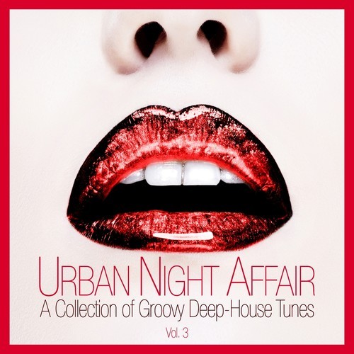 VA-《Urban Night Affair - A Collection of Groovy Deep-House Tunes,Vol.3》2016[FLAC]