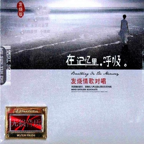 群星 - 《发烧情歌对唱·在记忆里呼吸 2CD》2016[WAV]