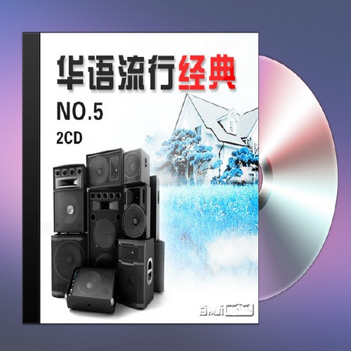 音乐精选集 - 华语流行经典NO.5 2CD 