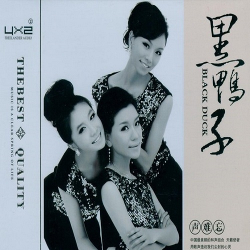 黑鸭子 - 《黑鸭子-声难忘 2CD》超级和声精品[WAV]