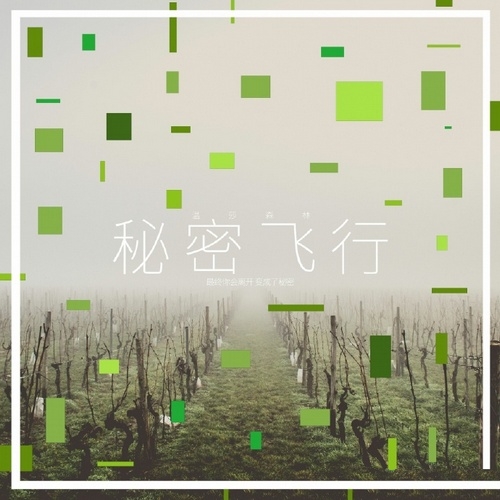 温莎森林 - 《秘密飞行》[FLAC 无损音乐]