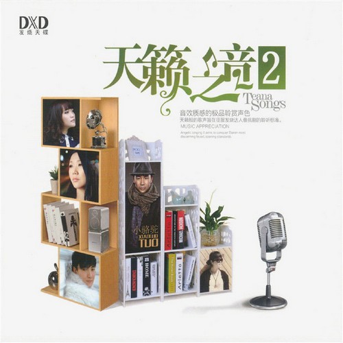 群星-《天籁之音·极致发烧靓声》DTS车载发烧精品[WAV]