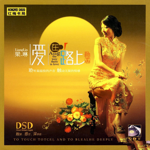 梁琳《爱在路上DSD》2010[整轨WAV]