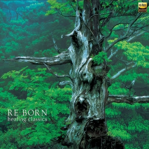 群星《(192kHz版) 重生 (Re Born)》2024[Hi-Res 192kHz_24bit FLAC]