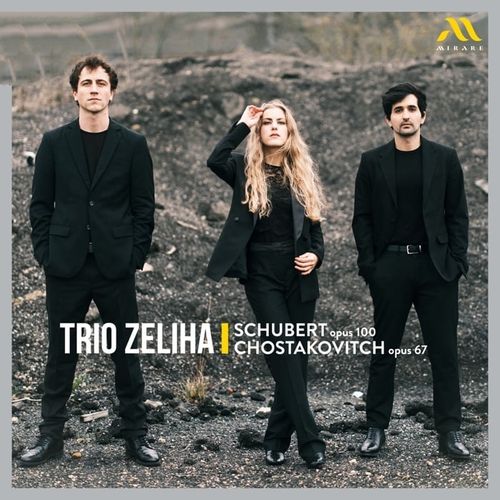 Trio Zeliha - Schubert Op. 100 - Chostakovitch Op. 67(舒伯特作品100、肖斯塔科维奇作品67) (2024)[Hi-Res 96kHz_24bit FLAC]