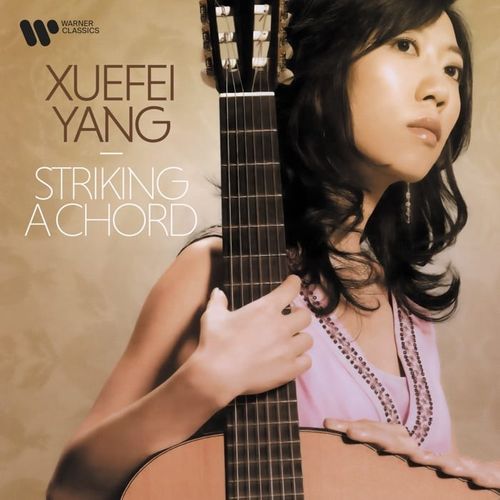 杨雪霏《敲击和弦 Striking a Chord》2022[FLAC]