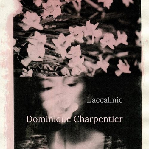 Dominique Charpentier - L&#039;accalmie (2024) [Hi-Res 44.1kHz_24bit FLAC]