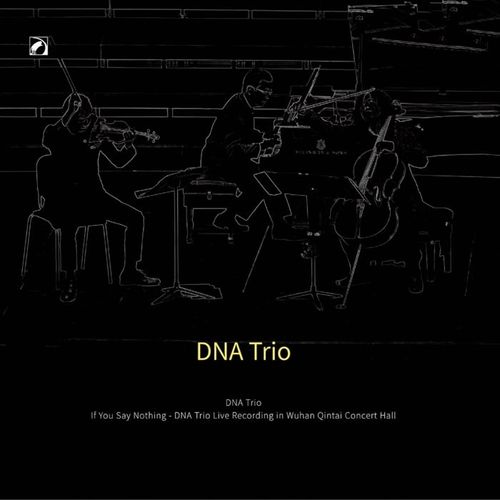 DNA Trio (基因三重奏) - If You Say Nothing (DNA 三重奏在武汉琴台音乐厅的现场录音) (2024)[Hi-Res 48kHz_24bit FLAC]