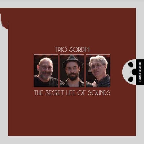 Trio Sordini - The Secret Life Of Sound [Pure DSD](2024)[DSD256_DSF]